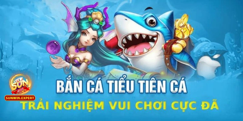 Bắn Cá Tiểu Tiên Cá - Trải Nghiệm Hấp Dẫn Và Cơ Hội Lớn 1 Ban ca tieu tien ca