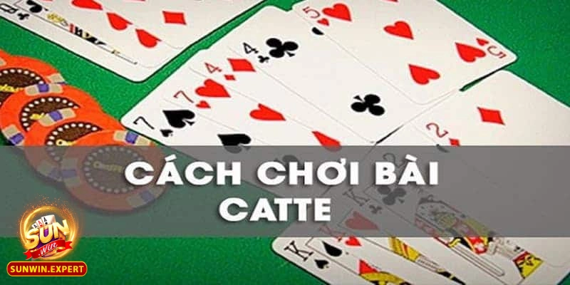 Bài Catte - Trải Nghiệm Hồi Hộp Và Kỹ Năng Không Thể Thiếu 2 Cách chơi bài catte - Đơn giản nhưng đầy hấp dẫn