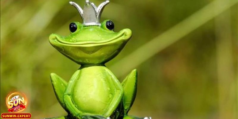 Mơ Thấy Ếch - Những Ý Nghĩa Và Điềm Báo Từ Giấc Mơ Về Ếch 2 Giấc mơ thấy ếch và những ý nghĩa phổ biến