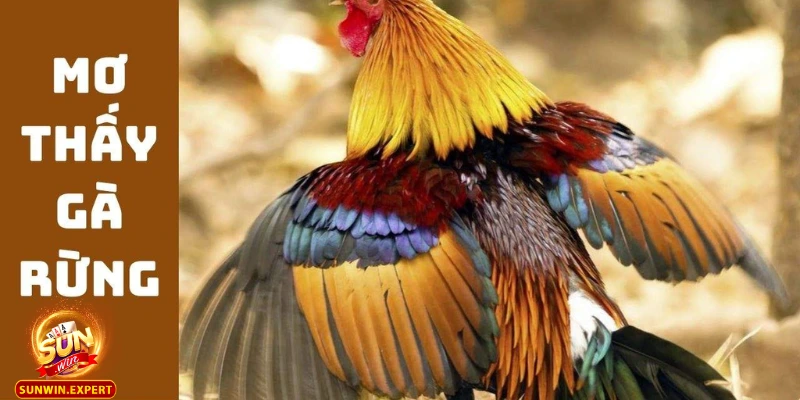 Mơ Thấy Gà Rừng Giải Mã Những Ý Nghĩa Sâu Sắc Từ Giấc Mơ 1 Mo thay ga rung