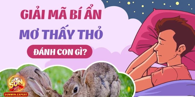 Mơ Thấy Thỏ - Ý Nghĩa Và Điềm Báo Từ Giấc Mơ Về Thỏ Chính Xác 1 Mo thay tho