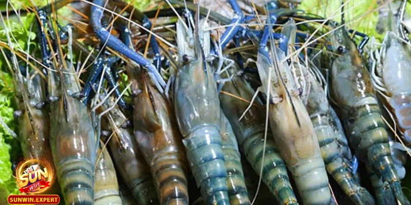 Mơ Thấy Tôm - Giải Mã Ý Nghĩa Cùng Thông Điệp Từ Giấc Mơ 4 Thận trọng hơn trong những vấn đề về tài chính