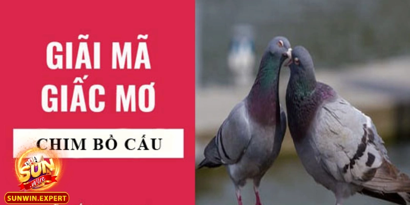 Mơ Thấy Chim Bồ Câu Có Ý Nghĩa Gì Và Những Giải Mã Hấp Dẫn 2 Giải mã ý nghĩa của giấc mơ về chim bồ câu