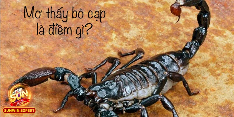 Mơ Thấy Bò Cạp - Điềm Báo Ẩn Giấu Và Giải Mã Giấc Mơ Độc Đáo 2 Mơ thấy bò cạp - Điềm báo hay lời cảnh tỉnh?