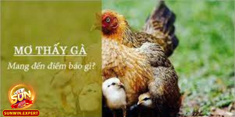 Mơ Thấy Gà - Giải Mã Điềm Báo Và Ý Nghĩa Sâu Xa Của Giấc Mơ 3 Mơ thấy gà con - Biểu tượng của sự phát triển và hy vọng