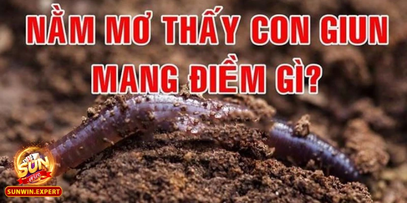Mơ Thấy Giun - Giải Mã Giấc Mơ Và Những Điềm Báo Cần Chú Ý 8 mo thay giun
