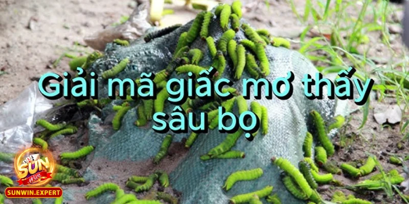 Mơ Thấy Sâu - Giải Mã Giấc Mơ Và Những Điềm Báo Ẩn Chứa 1 mo thay sau