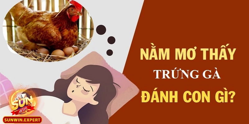 Mơ Thấy Trứng Gà - Những Điềm Báo Và Ý Nghĩa Sâu Xa Giấc Mơ 10 mo thay trung ga